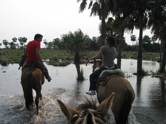 PRO-07-IBER MARSHES - Iemanja