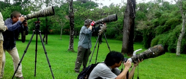 Birdwatching - Iguaz /  - Iemanja