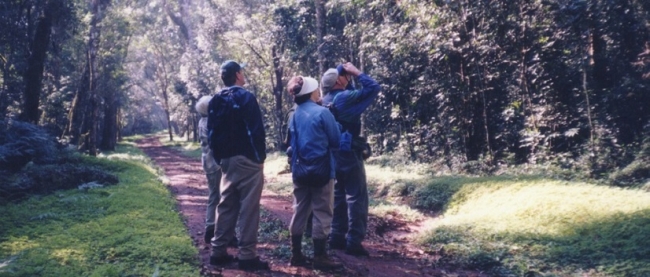 Birdwatching - Iguaz /  - Iemanja