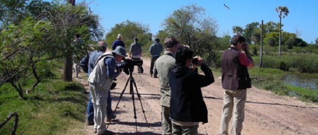 Birdwatching - Iguaz /  - Iemanja