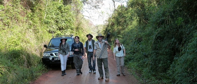Observación de aves - Iguazú / - Iemanja