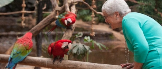 Parque de Aves - Foz do Iguacu /  - Iemanja