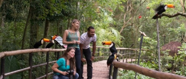 Parque de Aves - Foz do Iguacu /  - Iemanja