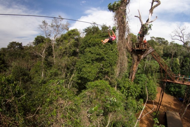 Iguazú Forest - Iguazú / - Iemanja