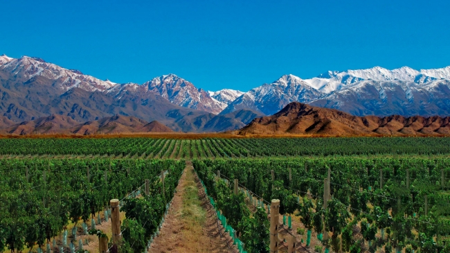 Mendoza Clasico - Mendoza /  - Iemanja