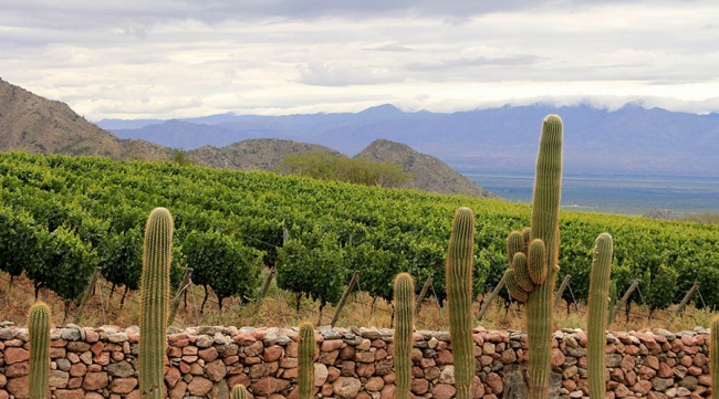 SALTA LA LINDA - Cachi - Salta / Cafayate - Salta / Salta /  - Iemanja