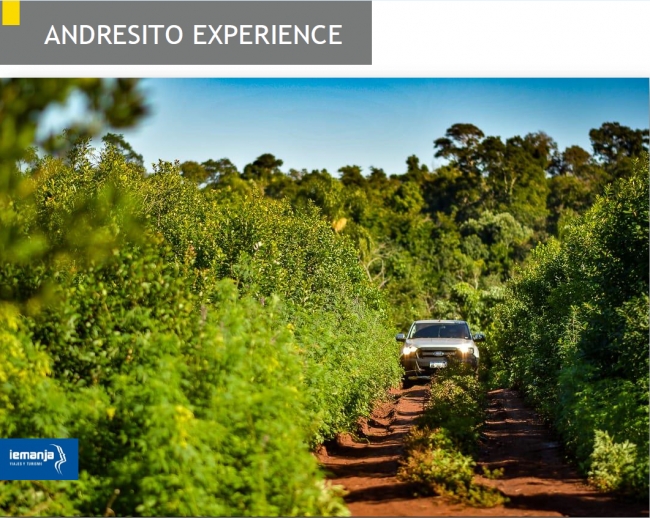 Yerbatera con Iemanja turismo - Iemanja