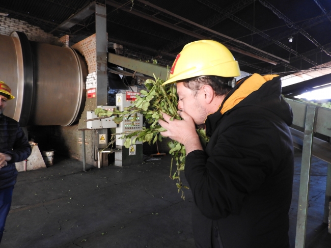 Yerbatera con Iemanja turismo - Iguaz /  - Iemanja