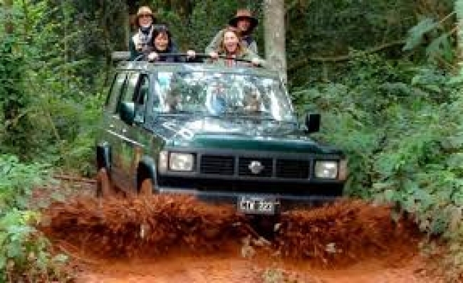 Safari dans la Fôret