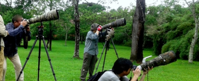 Birdwatching  - Iemanja