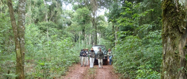 Safari Explorador (ex Safari na Selva) - Iguazu /  - Iemanja