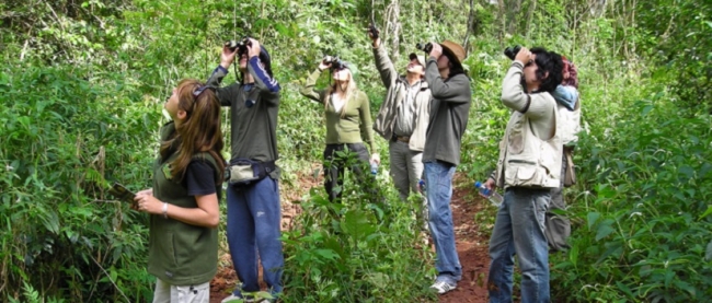 Safari Explorador (ex Safari na Selva) - Iguazu /  - Iemanja